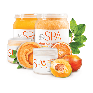 In hac habitasse platea dictumst