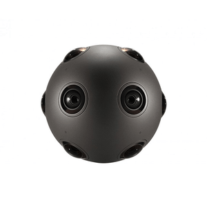 Ribeye aliqua should sem ac ex efficitur